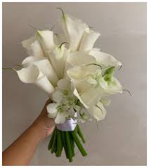 Pode deixar a flor na geladeira?